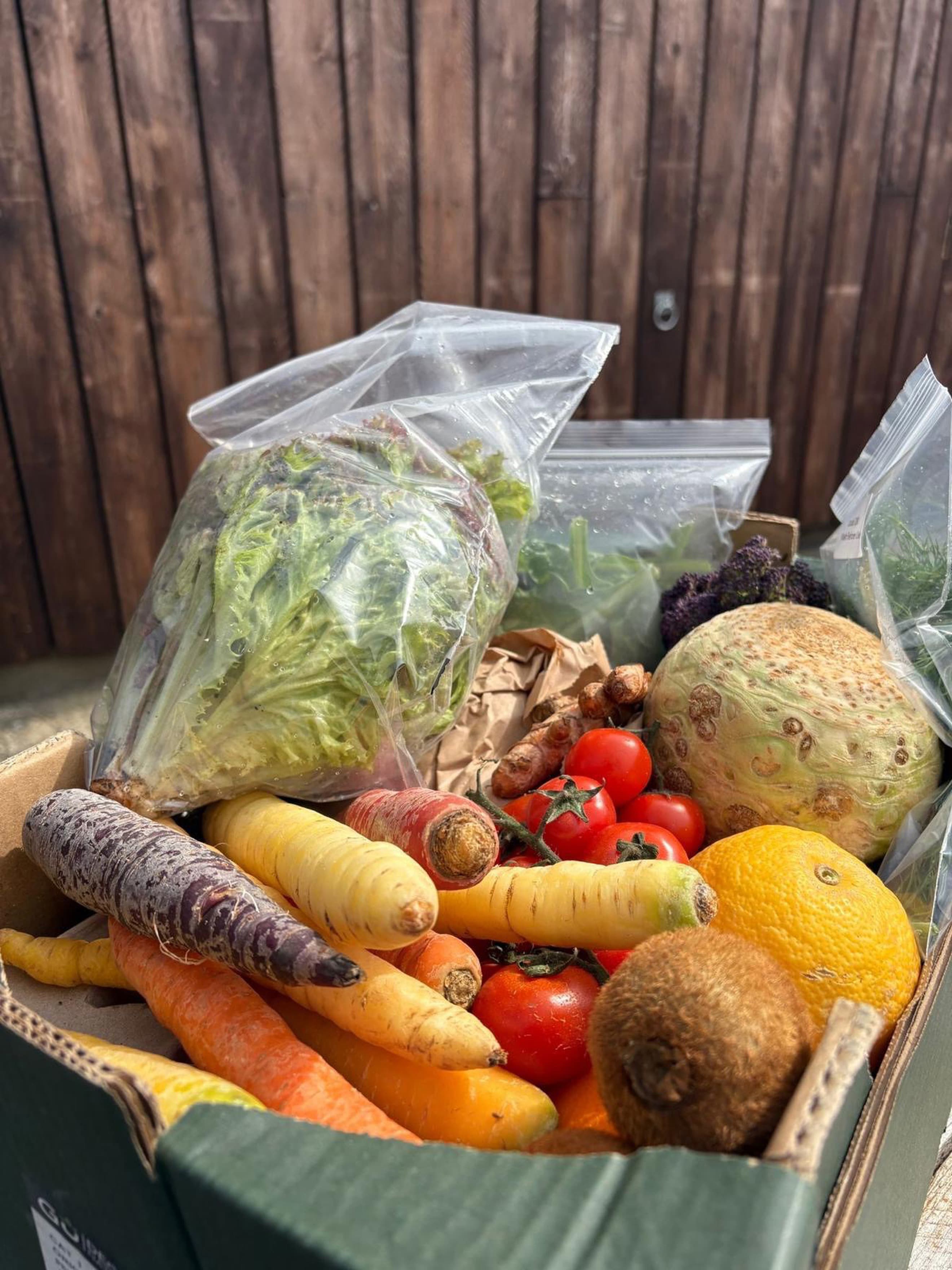 Large Veg Box